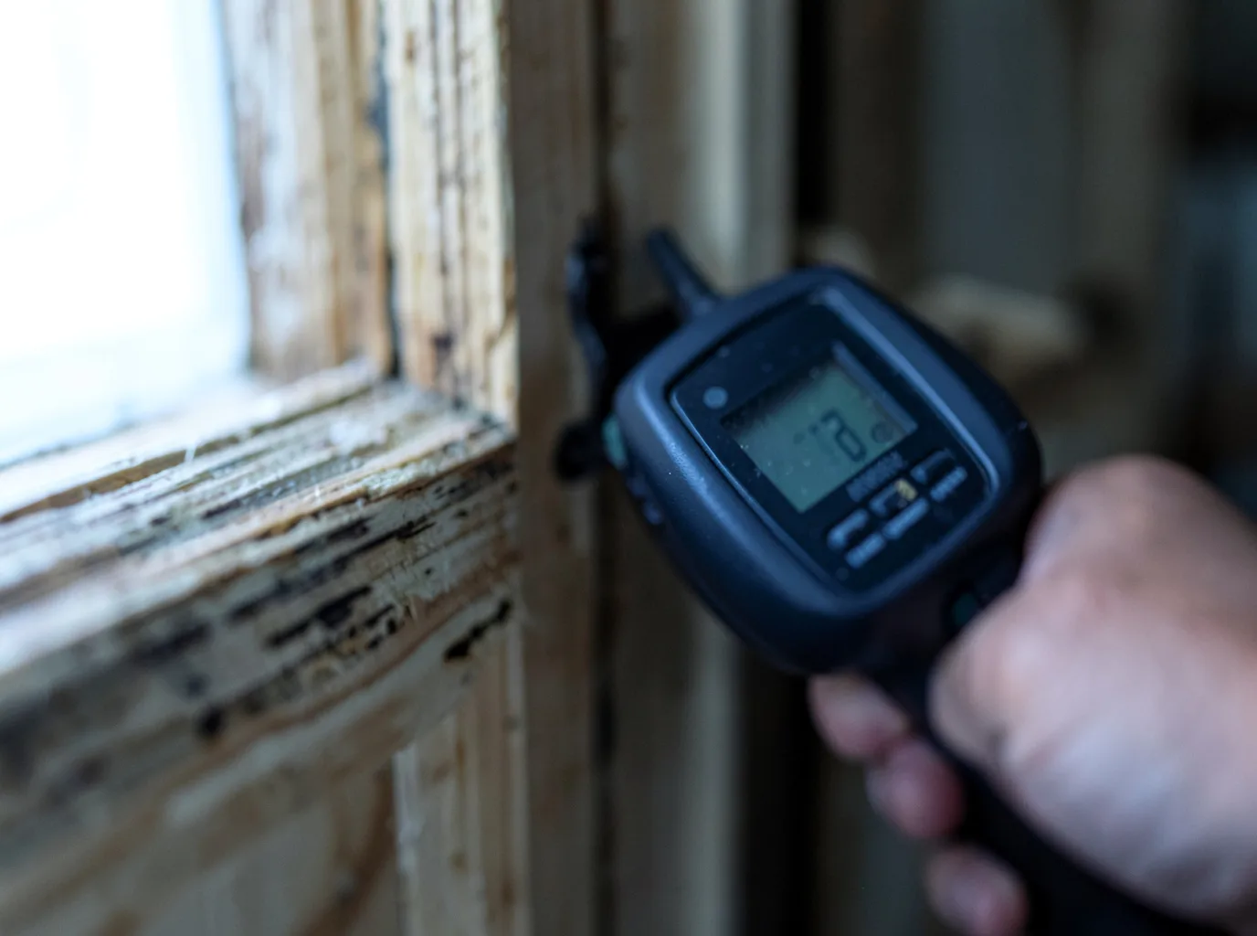 Water Damage Restoration Dixie, WA FAQs